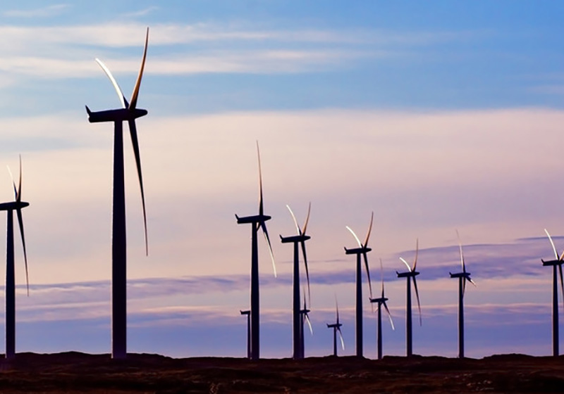 5ff408c1447d3.jpg 01.jpg